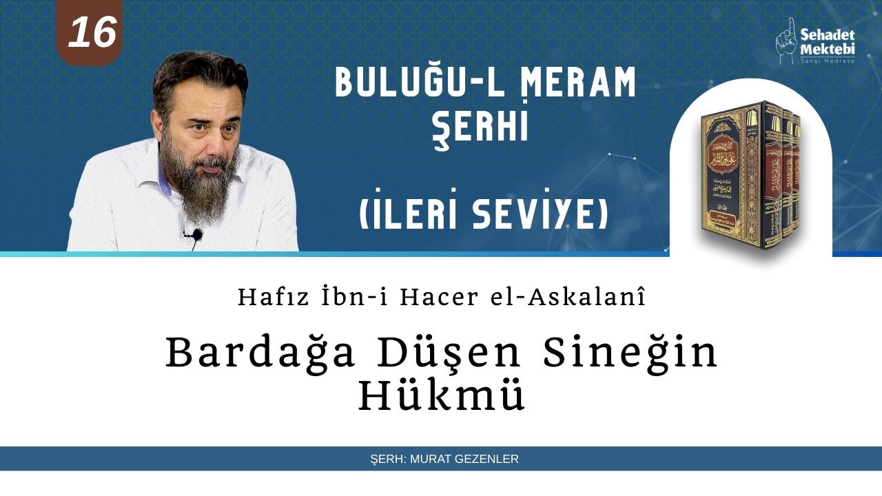 Bardağa Düşen Sineğin Hükmü