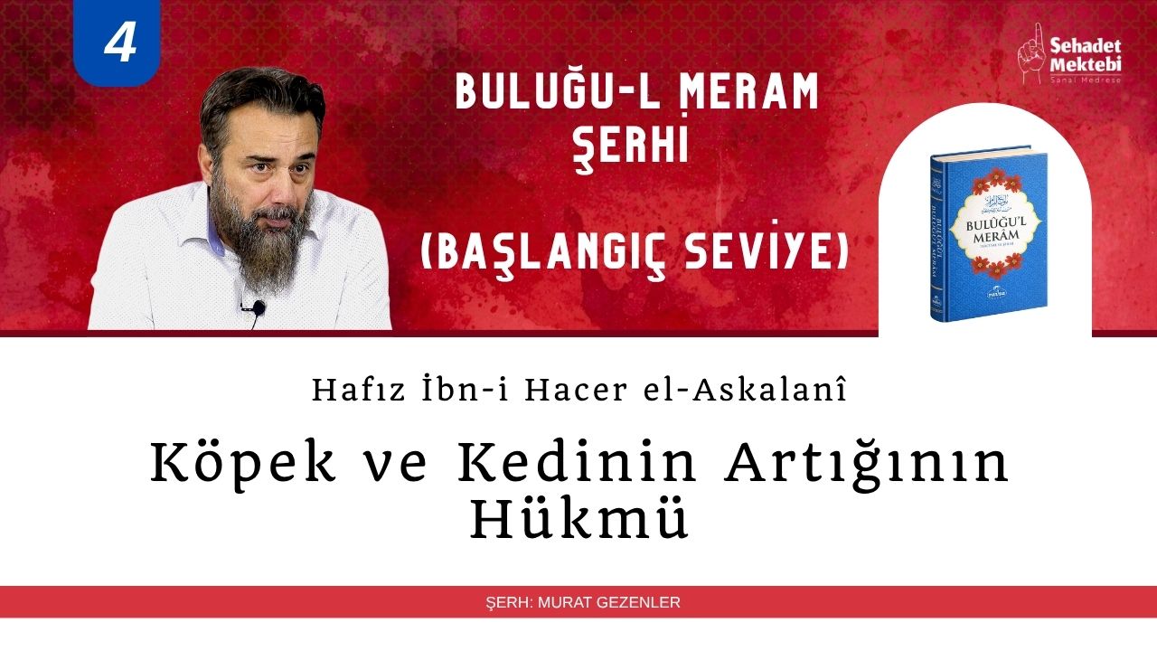 Köpek ve Kedinin Artığının Hükmü