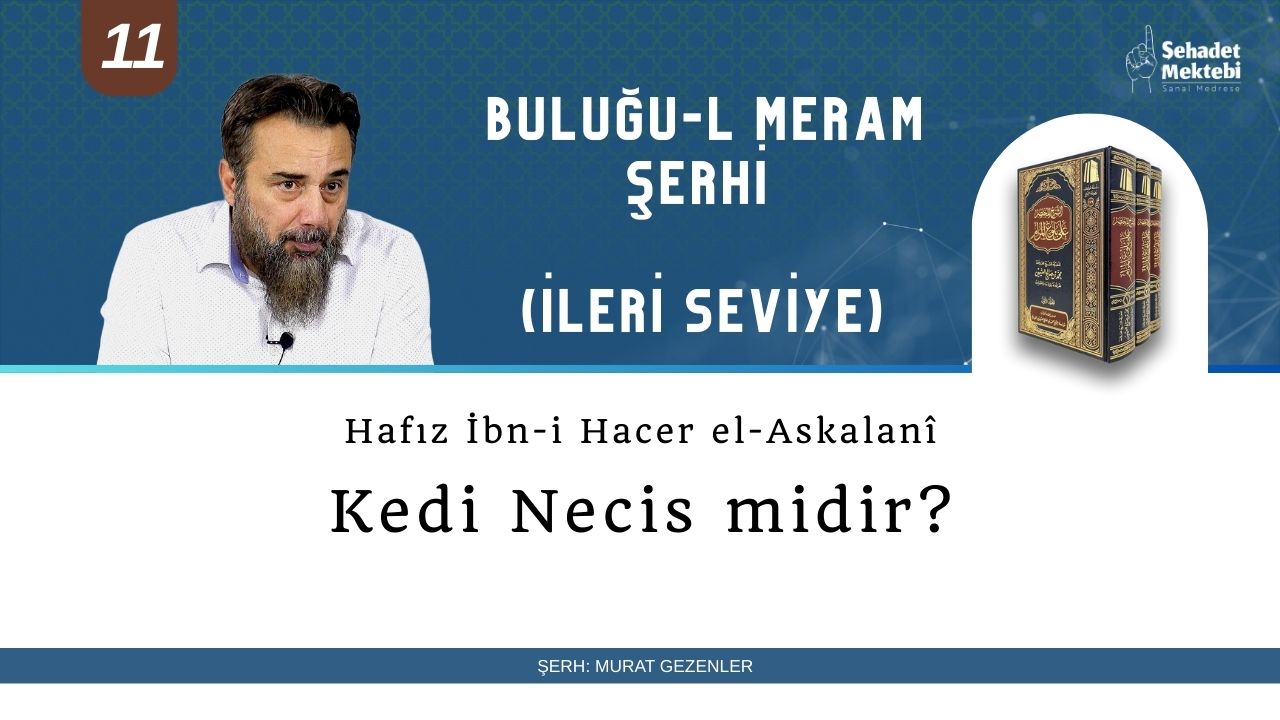 Kedi Necis midir?