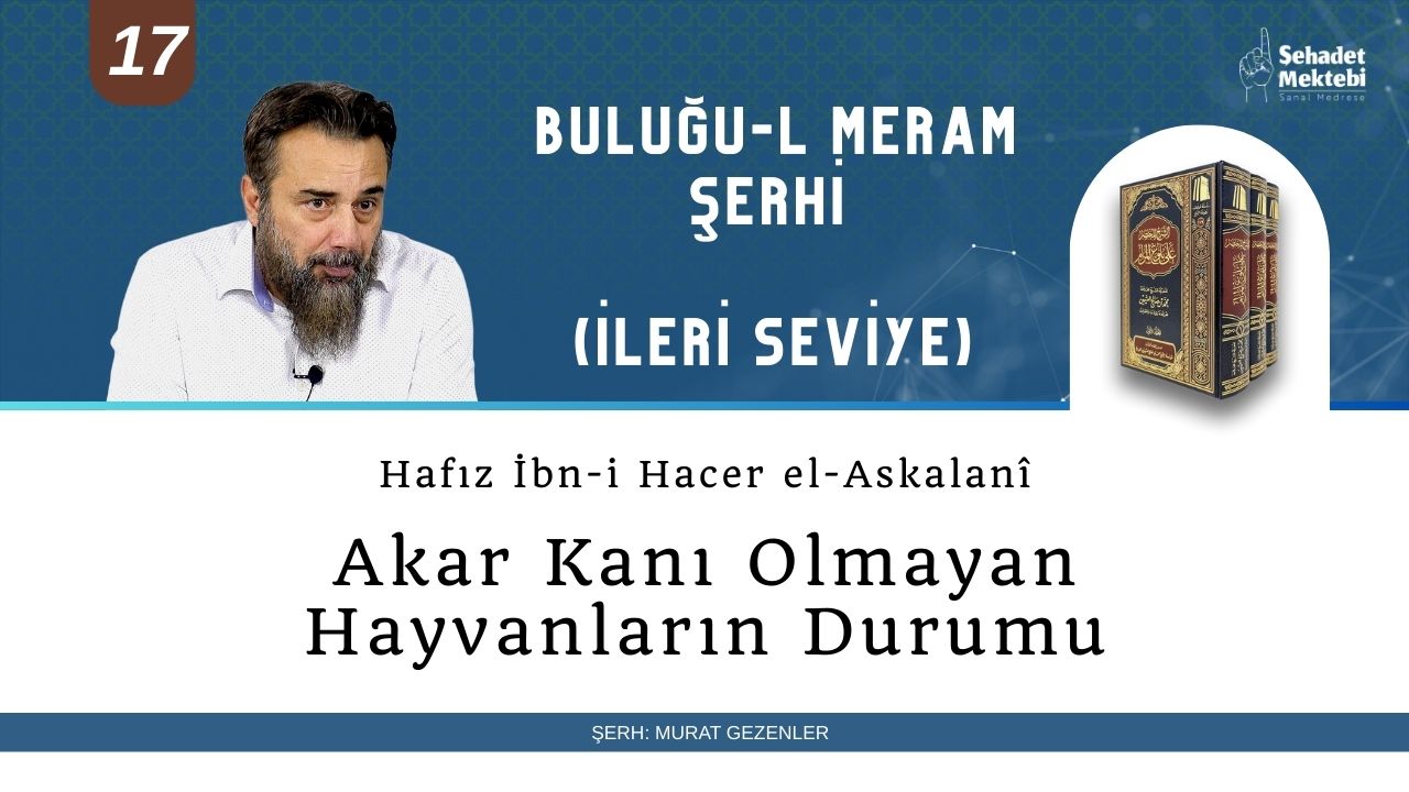 Akar Kanı Olmayan Hayvanların Durumu